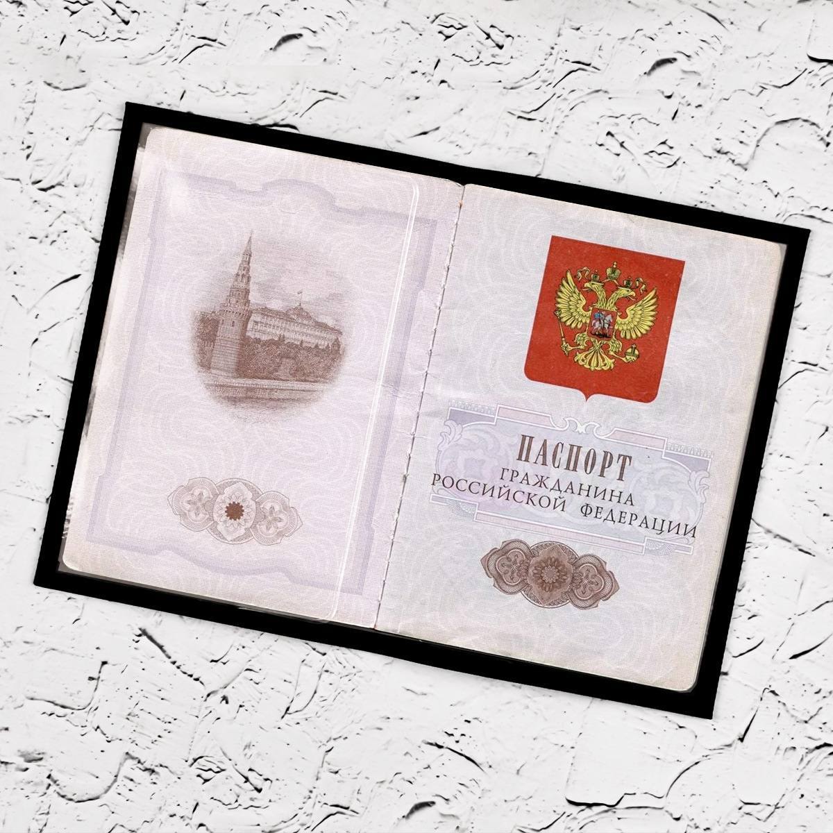 Обложка для паспорта Гербовая именная