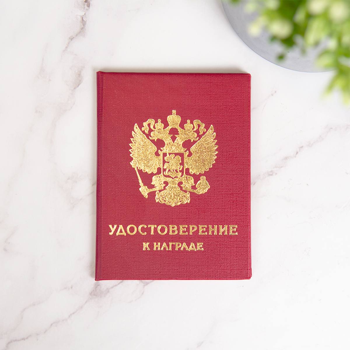 Наградное удостоверением (рукописный бланк)
