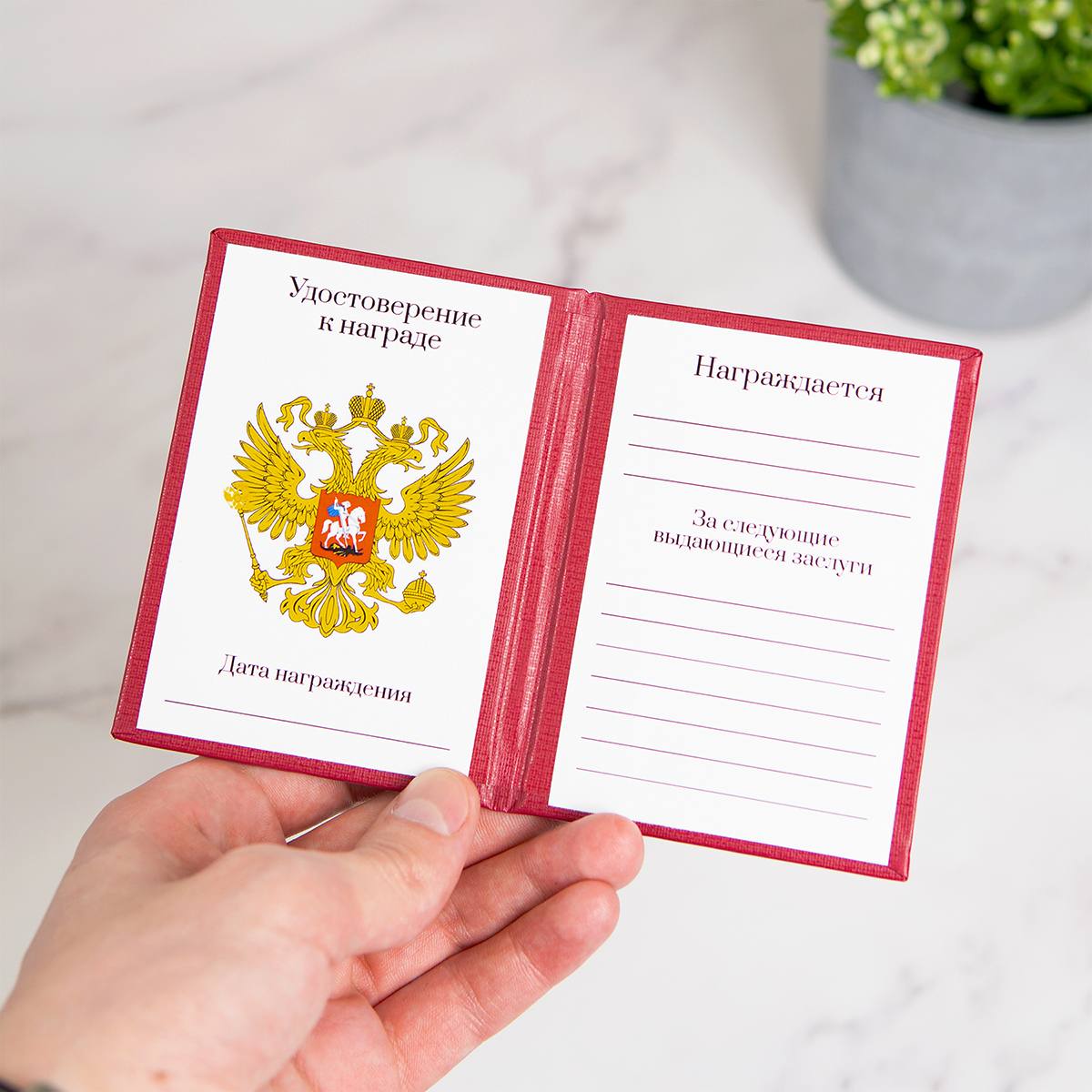 Наградное удостоверением (рукописный бланк)