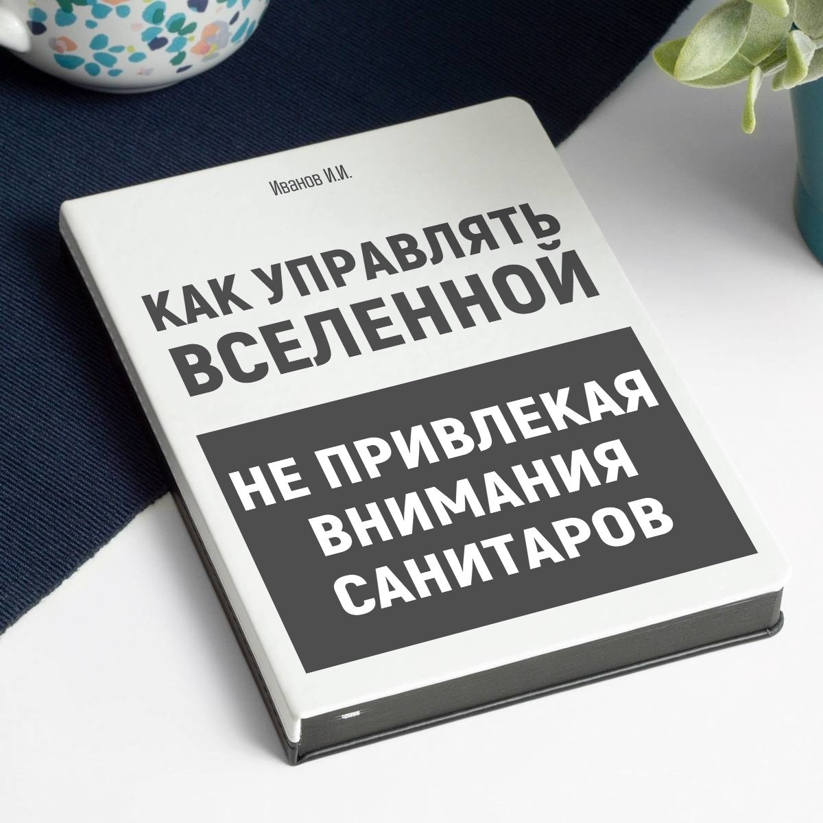 Именной ежедневник Как управлять вселенной не привлекая внимание санитаров